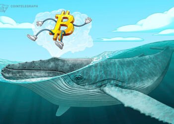 Bitcoin ‘mega whales’ send BTC price to $30K as volatility hits crypto