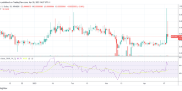 BitTorrent token defies market uncertainty; BTT posts 22-week high