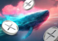 Whales Acquire Over 146 Million XRP Amid Recent Developments