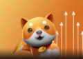 Baby Doge Coin Surges Without Unveiling the Announcement