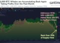 Bitcoin whales accumulate over 20k BTC in just two days