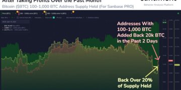 Bitcoin whales accumulate over 20k BTC in just two days