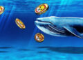 Largest SHIB Whale Spotted, $1.55M Worth Tokens Purchased