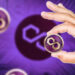 Franklin Templeton’s Fund Launches on Polygon Blockchain