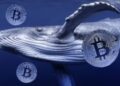 Satoshi Era Dormant Bitcoin Whale Transfers 400 BTC Worth $11 Million