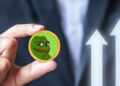 PEPE’s Rollercoaster Ride: From All-time Low to New Milestone