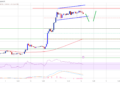 Bitcoin Price Analysis: BTC Rally Loses Steam Above $30K