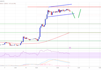 Bitcoin Price Analysis: BTC Rally Loses Steam Above $30K