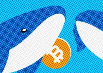 Bitcoin Whales and Other Dwellers of the Crypto World