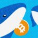 Bitcoin Whales and Other Dwellers of the Crypto World