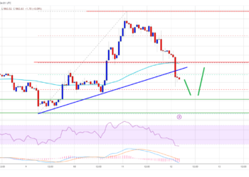 Ethereum Price Trims Gains But This Support Could Spark Fresh Increase