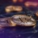 Ego Death Capital Raises $100M to Back Bitcoin-Focused Startups
