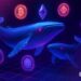 What Crypto Whales Bought After the August Dip