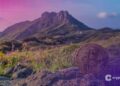 South Korea’s Jeju Wraps Crypto Probe of Almost 3,000 Tax Evaders, Seizes Coins