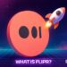 What is Flipr? FLIPR Coin Skyrockets 350% to New ATH, is $1 Next?