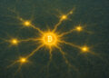 Why Lightning Network capacity declining 20% in 2025 is NOT as bad as it sounds