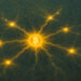 Why Lightning Network capacity declining 20% in 2025 is NOT as bad as it sounds