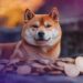 CleanCore Crosses 500 Million DOGE Mark in Push Toward 1 Billion Token Treasury