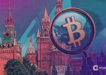 Russian Central Bank to Launch ‘Large-scale Audit of Nation’s Crypto Holdings’