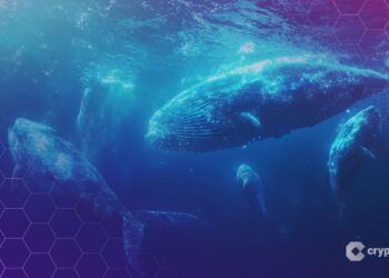 OpenSea to Launch SEA Token in Q1 2026, Allocating 50% to Community