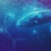 OpenSea to Launch SEA Token in Q1 2026, Allocating 50% to Community