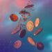 PolyMarket Airdrop Confirmed – Here’s What You Need to Know Ahead