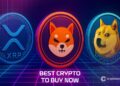 Best Crypto to Buy Now, October 21 – XRP, Shiba Inu, Dogecoin