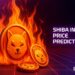 Shiba Inu Price Prediction: 61 Million SHIB Burned Overnight – Major Supply Shock Coming?