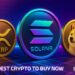 Best Crypto to Buy Now 7 November – XRP, Solana, Dogecoin