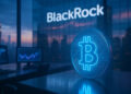Why BlackRock remains bullish on Bitcoin despite recent price slowdown