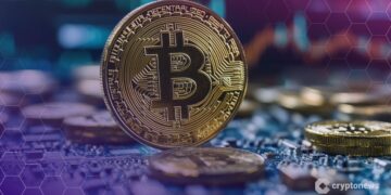 Bitcoin Now Less Volatile Than Nvidia as Investor Base Broadens, Says Bitwise