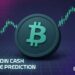 Bitcoin Cash Price Prediction: Is the BCH Price Headed to $650 Before Christmas?