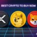 Best Crypto to Buy Now 25 December – XRP, Dogecoin, Shiba Inu