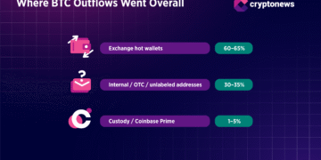 Is Bitcoin Price at Risk of a Deeper Reset? Whales Signal Caution | Research