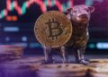 Bitcoin May Enter Decade-Long Bull Run After 2025 Bear Market: Samson Mow