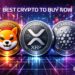 Best Crypto To Buy Now 18 December – SHIB, XRP, ADA