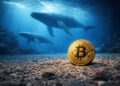 Bitcoin’s viral $5 billion whale buy signal was actually a dangerous trap set by institutional accounting