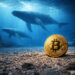 Bitcoin’s viral $5 billion whale buy signal was actually a dangerous trap set by institutional accounting
