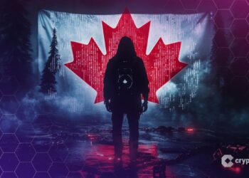 Canadian Hacker Steals $65M, Disappears From Custody — What Happened?