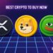 Best Crypto to Buy Now January 23 – XRP, Dogecoin, PEPE