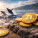 Bitcoin set for big move as whales add 56,227 BTC while tiny wallets sell – this pattern usually ends one way