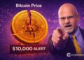 This Top Analyst Warns Bitcoin Price Could Fall to $10,000 as Bear Market Deepens
