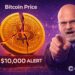 This Top Analyst Warns Bitcoin Price Could Fall to $10,000 as Bear Market Deepens