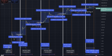 New Bitcoin cycle data projects BTC will lose half its value before December