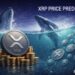 XRP Price Prediction: Whales Just Bought 210 Million Tokens – Is a Big Update Coming?
