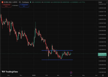 Shiba Inu Price Prediction: Time to Say Goodbye To Millionaire Dreams?