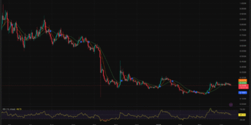 Crypto Whales Just Accumulated 100 Million FET Crypto: So Why Is the Price Still Falling?