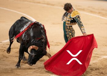 XRP Price Prediction: Bull Flag Forming as Bull Run Style Rally Coils