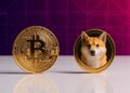Bitcoin and Dogecoin Remain Elon Musk Favorite Crypto: Best Crypto to Buy Now?