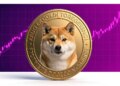 Dogecoin Case: Is DOGE Still the King of Memes?